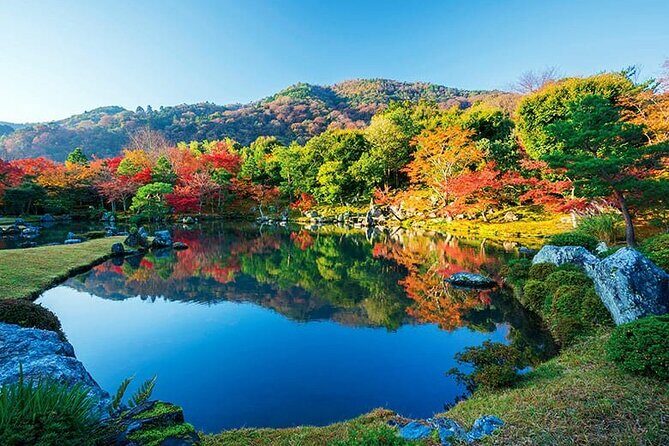 Kyoto Autumn Foliage Private Car Tour Temples and Gardens - Late-Season Gems and Less-Visited Spots