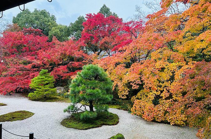 Kyoto Autumn Foliage Private Car Tour Temples and Gardens - The Practicalities of the Tour