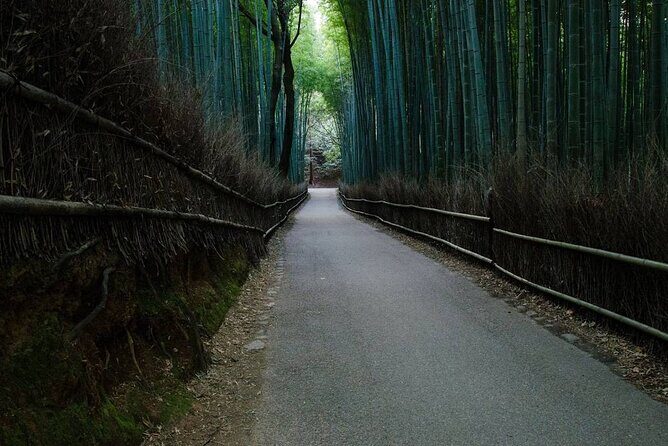 Kyoto Bamboo Forest & Golden Pavilion E-Bike Tour - What Do Other Travelers Say?