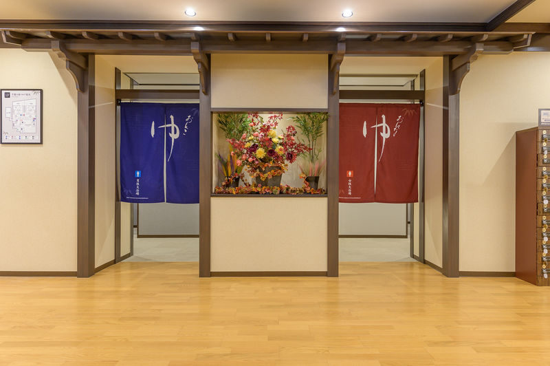 Kyoto Bamboo Village Onsen Manyo-no-Yu Admission Ticket - Two springs and a range of baths