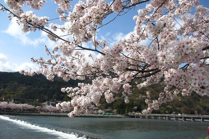Kyoto Bus Tour: Arashiyama, Kinkaku-ji, Fushimiinari Shrine BF - Final Thoughts