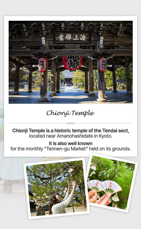 Kyoto by the Sea: Amanohashidate & Ine no Funaya Bus Tour from Osaka - Ine’s boat houses and bay