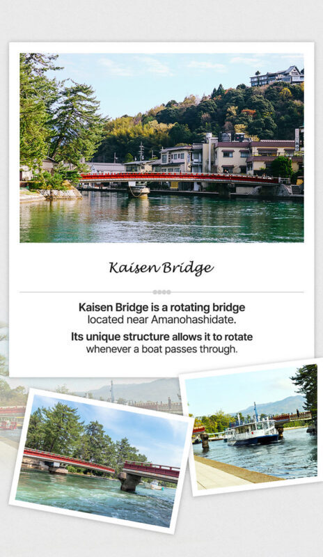 Kyoto by the Sea: Amanohashidate & Ine no Funaya Bus Tour from Osaka - What the guide adds