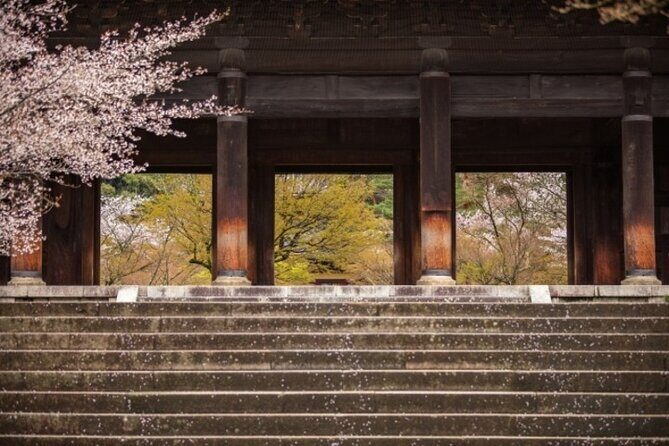 Kyoto Cherry Blossom 1 Day Walking Tour - An In-Depth Look at the Kyoto Cherry Blossom Tour