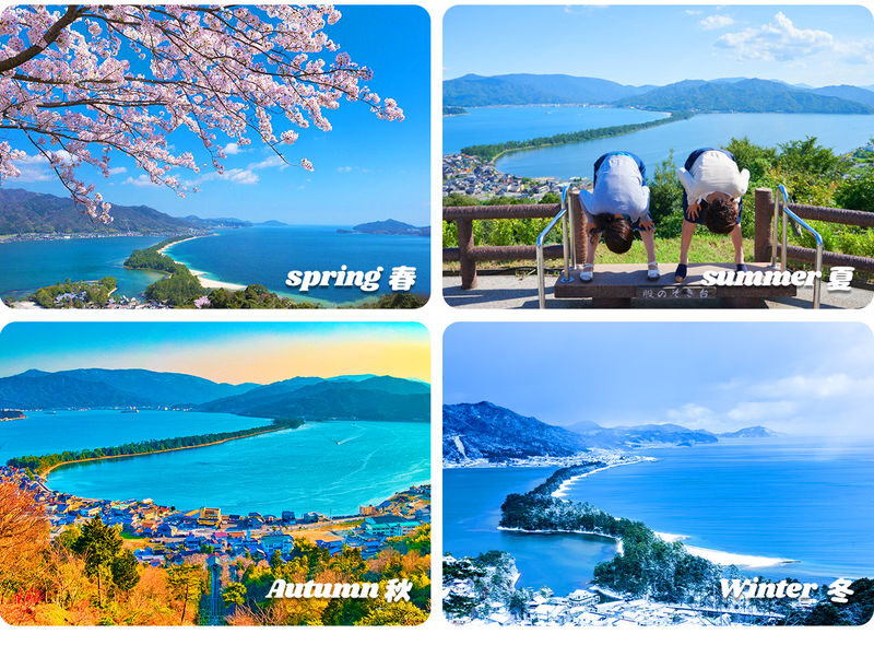 Kyoto Coast Fairytale Journey: Sea Train & Amanohashidate & Ine Funaya One-Day Tour - Should you book the Kyoto coast tour?