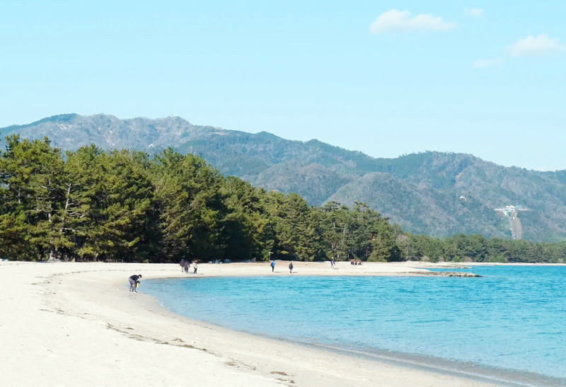 Kyoto Coastal Railway Wonderland Day Trip | Tango Sea Train, Amanohashidate, Ine Boathouses - What the bus tour does well, and where it pinches