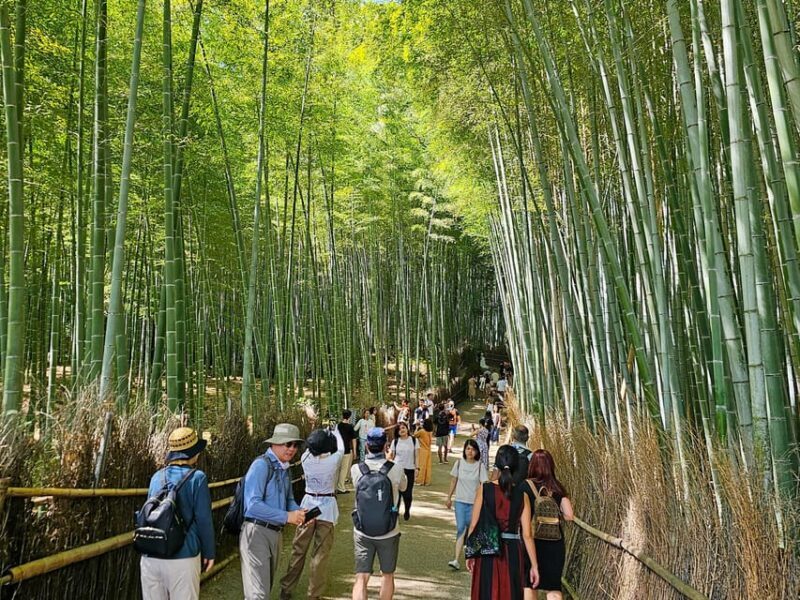 Kyoto: Customizable 4-Hour World Heritage Sites Tour - Key Points
