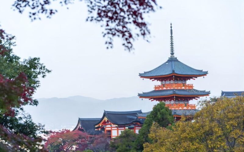 Kyoto: Customizable Full-Day Tour with Privarte Transfers - Key Points
