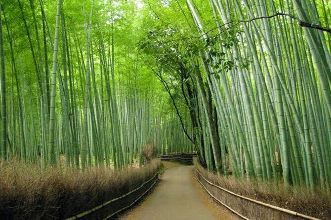 Kyoto Customized Private Tour - Practical Details and Considerations