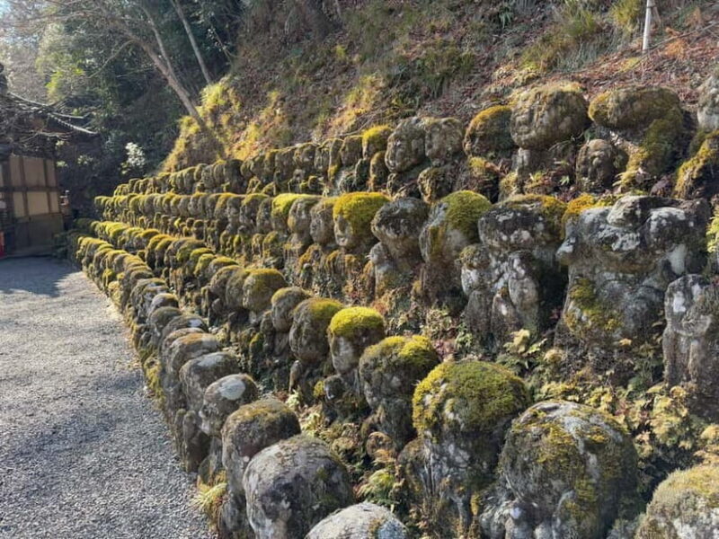 Kyoto Customized Private Tour: See Top Attractions in 1 Day - The Sum Up