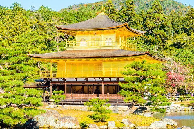 Kyoto Customized Private Tour with English Driver & Hotel Pickup - Exploring Kyoto with a Private Driver: A Deep Dive