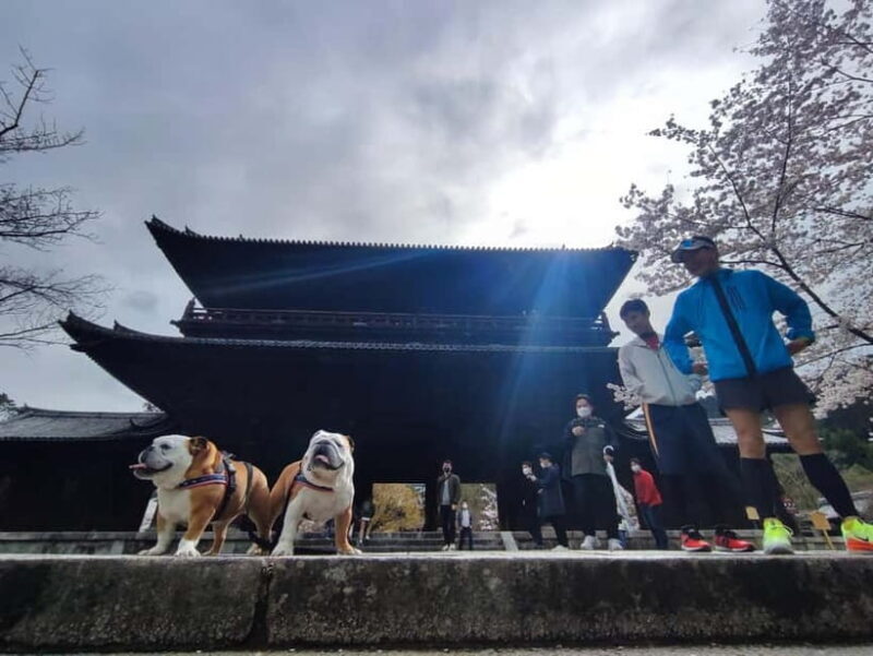 Kyoto: Daimonji Trail Hiking Tour with Historical Sites - Key Points