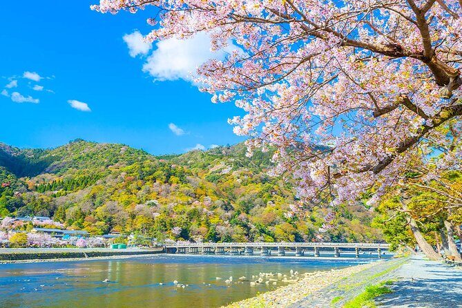 Kyoto Day Tour Kifune Shrine, Sanzen-in, Arashiyama & Yuzen Korin - Final Thoughts