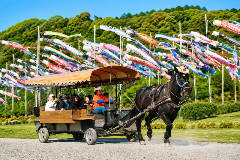 Kyoto Day Tour: Kyoto Carriage & Sagano Romantic Train & Hozugawa River Cruise - At a glance