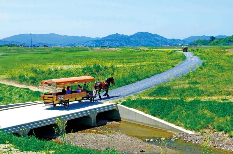Kyoto Day Tour: Kyoto Carriage & Sagano Romantic Train & Hozugawa River Cruise - Three ways to follow the Hozugawa