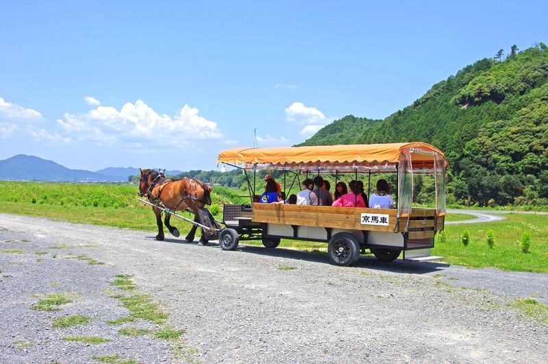 Kyoto Day Tour: Kyoto Carriage & Sagano Romantic Train & Hozugawa River Cruise - Hozugawa River: calm stretches and sudden rapids