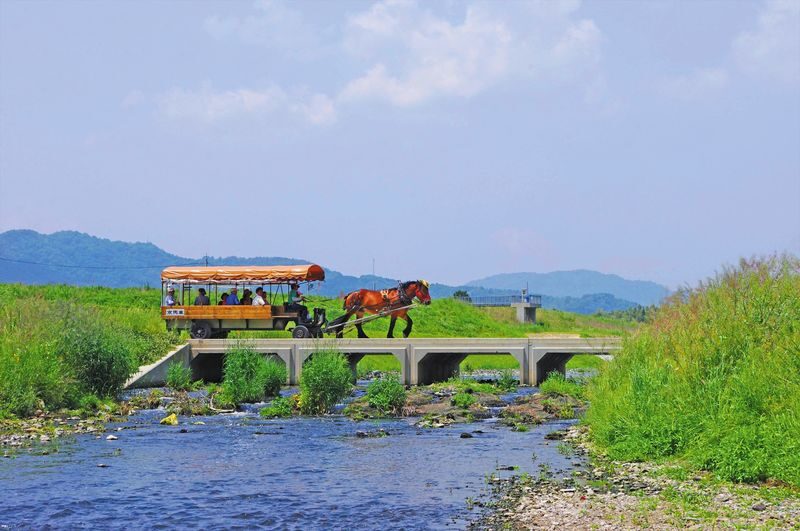 Kyoto Day Tour: Kyoto Carriage & Sagano Romantic Train & Hozugawa River Cruise - What a guide adds, and what to check