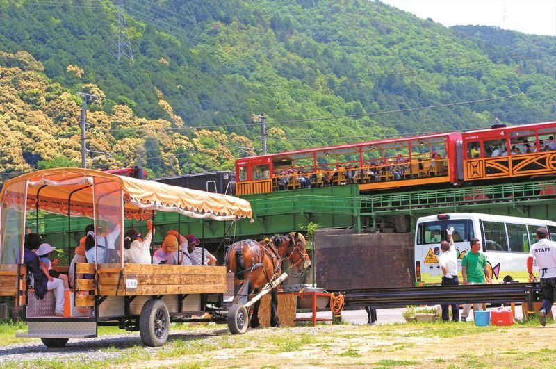 Kyoto Day Tour: Kyoto Carriage & Sagano Romantic Train & Hozugawa River Cruise - Is $94.60 good value?