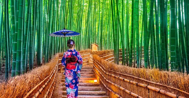 Kyoto Day Tour with Certified Tour Guide & Luxury vehicle - FAQ