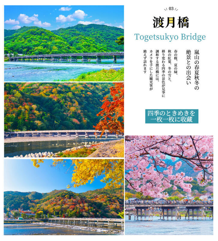 Kyoto Day Trip | Kifune Shrine & Arashiyama Bamboo Grove & Sanzen-in Temple | Stroll Through Kyoto | Guaranteed Departure for Groups of 4 (Departing from Osaka/Kyoto) - Kifune Shrine: a beautiful approach with a real uphill walk