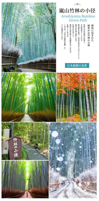 Kyoto Day Trip | Kifune Shrine & Arashiyama Bamboo Grove & Sanzen-in Temple | Stroll Through Kyoto | Guaranteed Departure for Groups of 4 (Departing from Osaka/Kyoto) - Small group, helpful directions and variable commentary