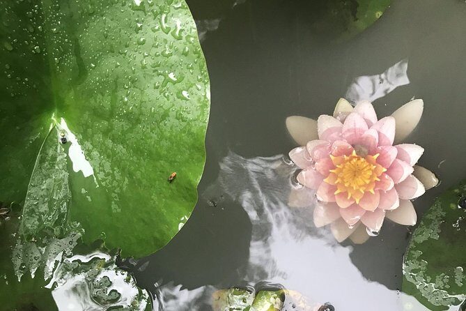 Kyoto: Descending Arashiyama (Private) - Who Will Love This Tour?