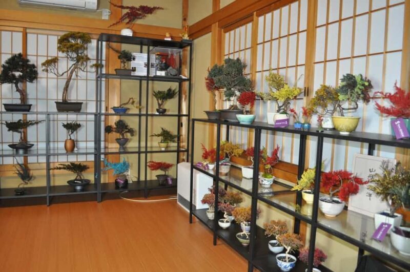 Kyoto: Dry Bonsai Making Workshop - Key Points