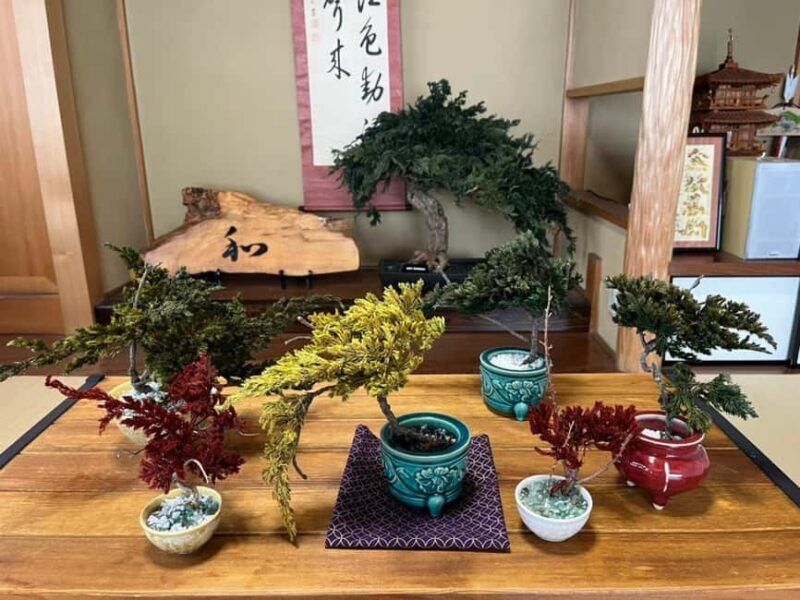 Kyoto: Dry Bonsai Making Workshop - A Detailed Look at the Kyoto Dry Bonsai Making Workshop