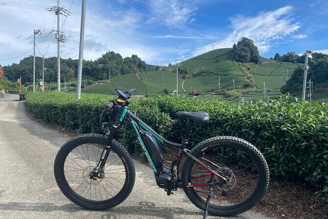 Kyoto E-Bike Rent (Powerful & Long model) - In-Depth Review of the Kyoto E-Bike Experience