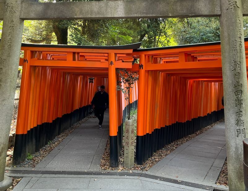 Kyoto E-Bike Tour of Hidden Gems and Temples South Route - A guide who can follow your interests