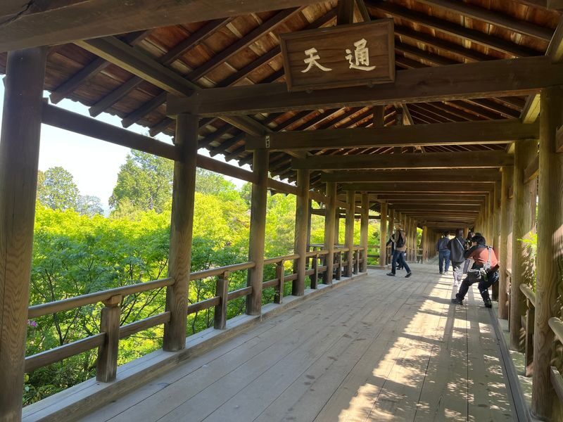 Kyoto E-Bike Tour of Hidden Gems and Temples South Route - Rain gear and the realities of cycling