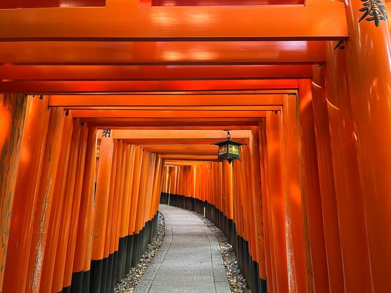 Kyoto E-Bike Tour of Hidden Gems and Temples South Route - Who should choose this tour