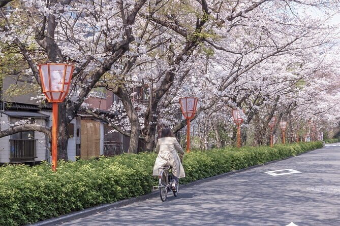 Kyoto E-Bike Tour of Hidden Gems, Backstreets and Temples - Exploring Kyoto on E-Bikes: A Practical, Fun Way to See the City