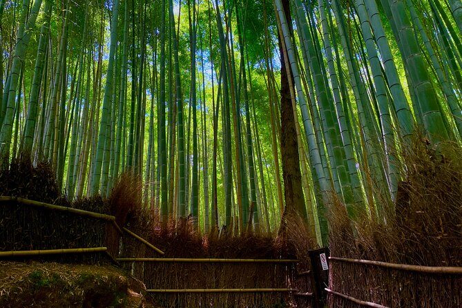 Kyoto Early Bird English Tour: Fushimi-Inari and Arashiyama - A Deep Dive into the Kyoto Early Bird Tour