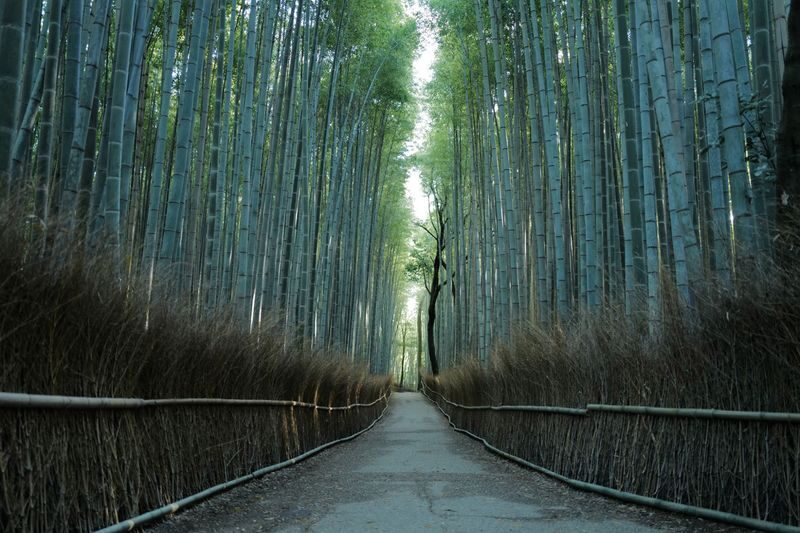 Kyoto Early Bird Tour Tokyo Round Trip Shinkansen Option - The early meeting sets the tone