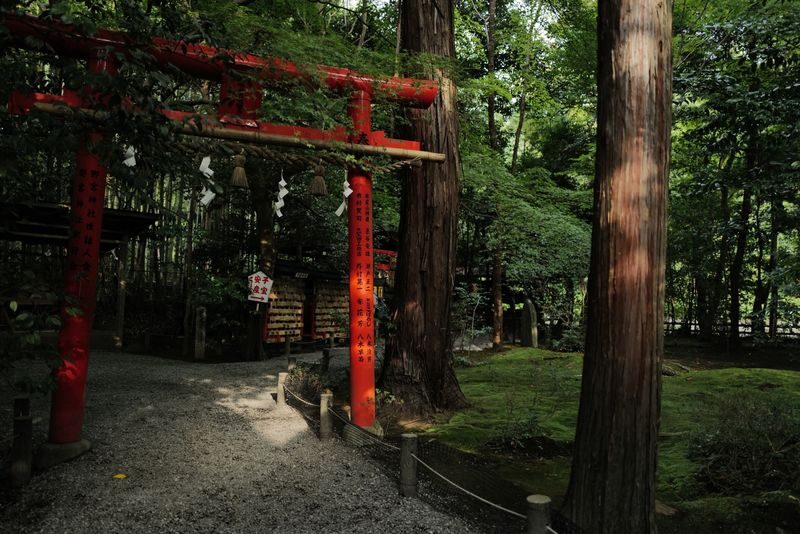 Kyoto Early Bird Tour Tokyo Round Trip Shinkansen Option - Fushimi Inari’s gates reward a slower pace