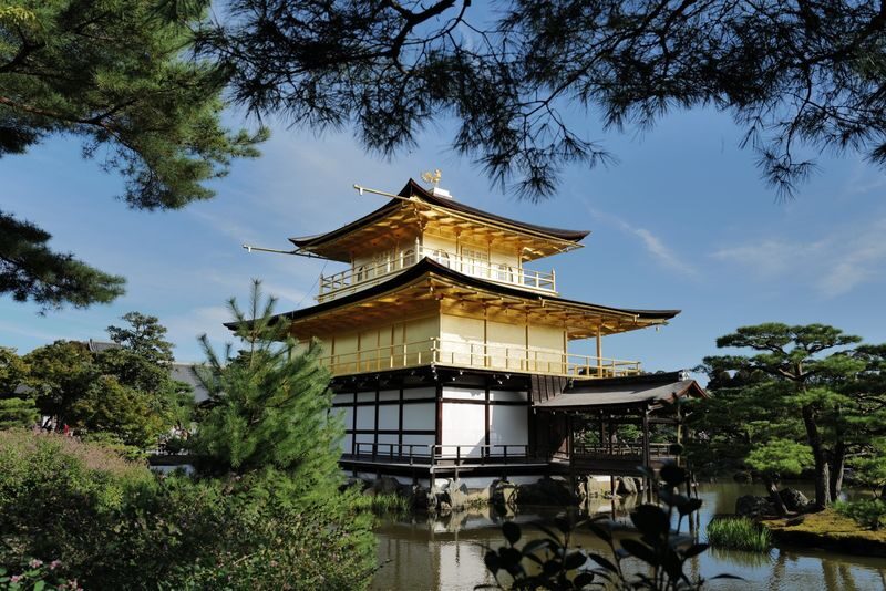 Kyoto Early Bird Tour Tokyo Round Trip Shinkansen Option - Who should book this Kyoto trip