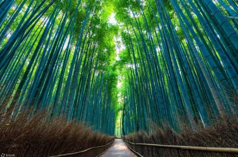 Kyoto: Early Morning Landmarks Tour with Pickup - Key Points