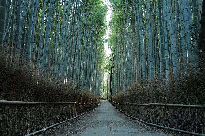 Kyoto Early Morning Tour with English-Speaking Guide - Arashiyama Bamboo Grove: Natures Tranquil Masterpiece