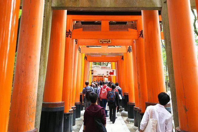 Kyoto Early Riser Golden One-Day Walking Tour - Who Should Book This Tour?