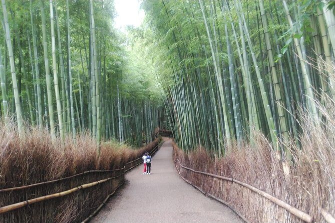 Kyoto Early Riser Platinum One-Day Walking Tour - Final Thoughts