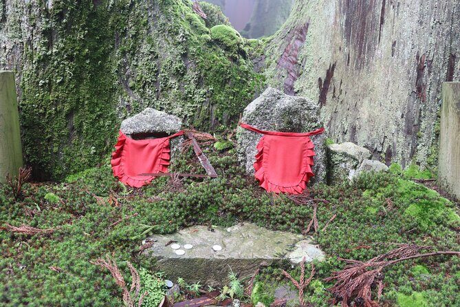 Kyoto: Enryakuji Highlights 2-Hour Sacred Express Tour - Who Should Book This Tour?