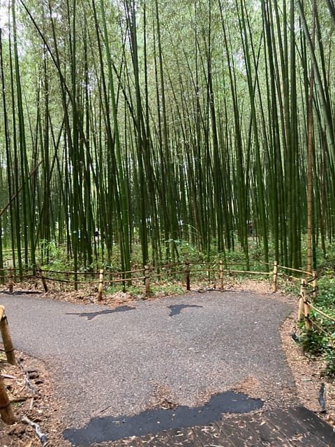 Kyoto: Essential Tour with Fushimi Inari & Bamboo Grove - The Sum Up