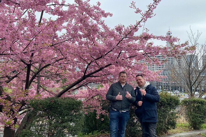 Kyoto Essentials Half Day Walking Tour with Cultural Expert - Final Thoughts