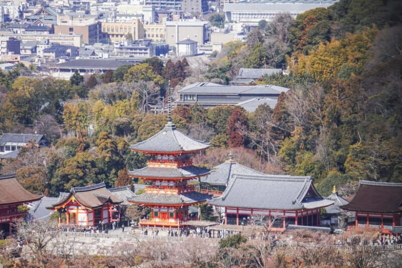 Kyoto from Above: Hike Mt. Amida with Kiyomizu Views - Who Should Consider This Tour?