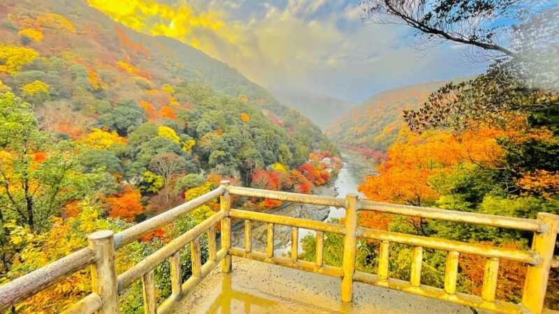 Kyoto: Full-Day Highlight Guided Tour with Expert Tour Guide - Who Will Love This Tour?