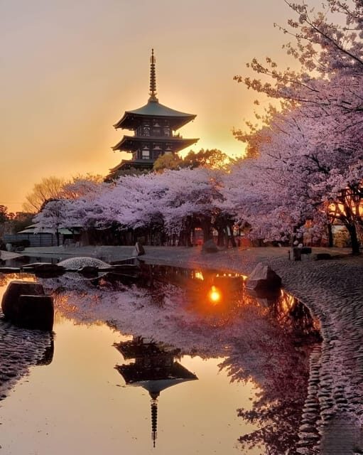 Kyoto full day private day trip with English speaking driver - What Sets This Tour Apart