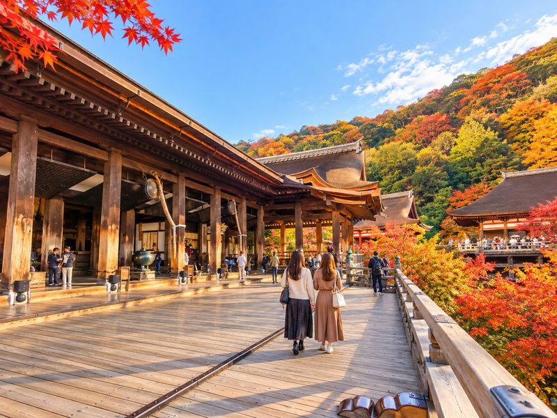 Kyoto Fushimi Inari, Arashiyama Bamboo Forest, Kiyomizu-dera Temple Day Trip from Nagoya (Choose one: A5 Kobe Beef Lunch or Pork Shabu-shabu) - Is $66.25 good value?