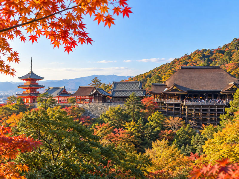 Kyoto Fushimi Inari, Arashiyama Bamboo Forest, Kiyomizu-dera Temple Day Trip from Nagoya (Choose one: A5 Kobe Beef Lunch or Pork Shabu-shabu) - Who should book this Kyoto day trip?