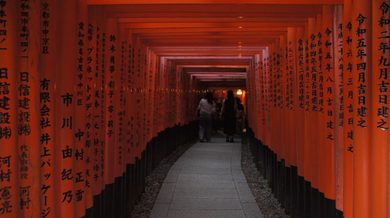 Kyoto Fushimi Inari Half-Day Cultural Walking Tour - What makes this walk worthwhile